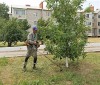 На улицах п. Михайловский ведутся работы по покосу травы. 