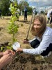 В рамках международной акции «Сад памяти» в п. Михайловский высадили молодые деревья