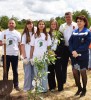В рамках международной акции «Сад памяти» в п. Михайловский высадили молодые деревья