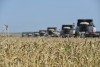 Наши аграрии собрали первый миллион тонн зерна.