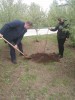 Михайловский присоединился к международной акции «Сад памяти». В этом году акция приурочена к 80-летию Победы в Великой Отечественной войне.