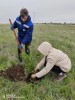 Михайловский присоединился к международной акции «Сад памяти». В этом году акция приурочена к 80-летию Победы в Великой Отечественной войне.