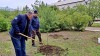 Михайловский присоединился к международной акции «Сад памяти». В этом году акция приурочена к 80-летию Победы в Великой Отечественной войне.