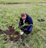 Михайловский присоединился к международной акции «Сад памяти». В этом году акция приурочена к 80-летию Победы в Великой Отечественной войне.