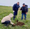 Михайловский присоединился к международной акции «Сад памяти». В этом году акция приурочена к 80-летию Победы в Великой Отечественной войне.