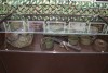 В рамках реализации регионального проекта «Развитие инфраструктуры образовательных организаций Саратовской области» в 2025 году в МОУ «СОШ п.Михайловский» произведен частичный ремонт спортивного зала