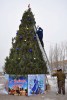 Главная новогодняя красавица вышла в свет в новом наряде